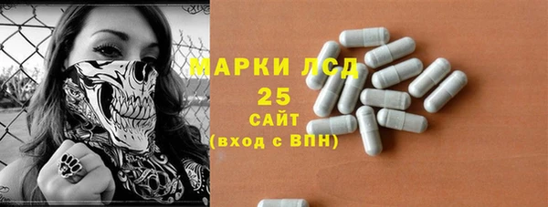 шишки Аркадак