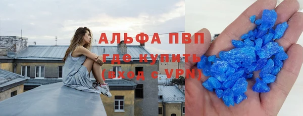шишки Аркадак