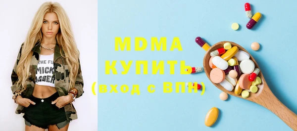 шишки Аркадак