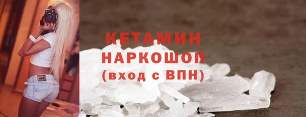 шишки Аркадак