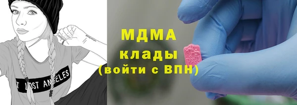 шишки Аркадак