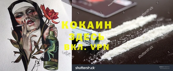 шишки Аркадак