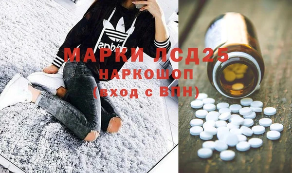 шишки Аркадак
