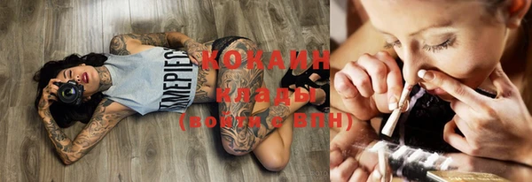 шишки Аркадак